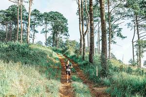 BIB: 
                            <button type="button" onclick="openModal(25653006)" class="btn btn-primary btn-sm float-right btn-popup" data-toggle="modal" data-target=".modal-high-quality">
                        <i class="fas fa-shopping-cart"></i> Add to Cart
                    </button>
                                            <button type="button" onclick="isThisMe(25653006, true)" class="btn btn-success btn-sm float-right btn-popup btn-isme hidden" data-toggle="tooltip" data-placement="bottom" title="นี่คือรูปของคุณใช่ไหม คลิกที่นี่เพื่อเอาเข้าอัลบั้ม">
                        <i class="fas fa-plus"></i> Add to album
                    </button>
                    <button type="button" onclick="isThisMe(25653006, false)" class="btn btn-warning btn-sm float-right btn-popup btn-isnotme hidden">
                        <i class="fas fa-ban"></i> Remove from album
                    </button>